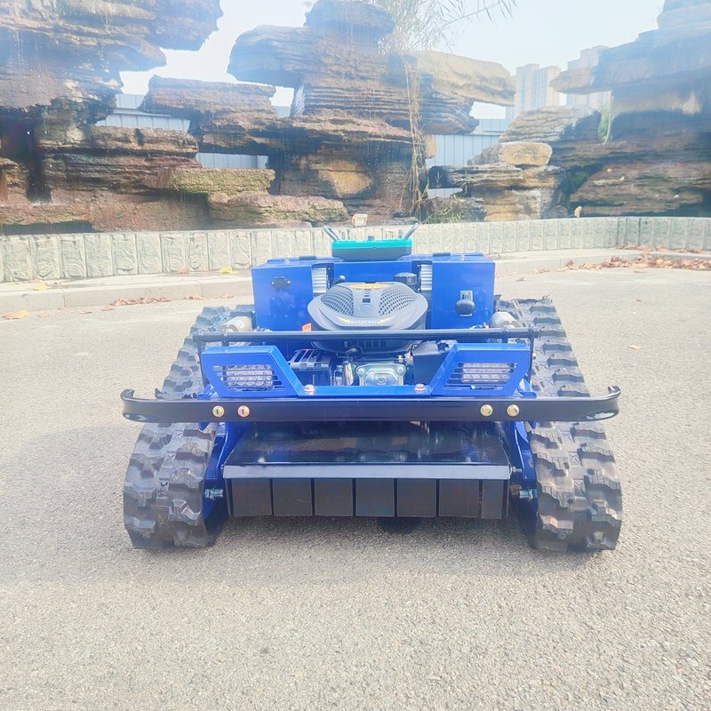 Kuzatiladigan mini maysazor